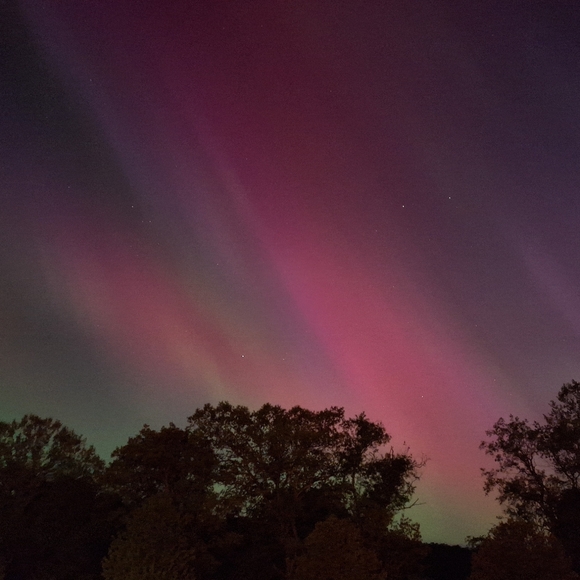 Meet Your Posher ❤️🧡💛💚💙🩵💜🖤🤎🩵🩷🤍 - Picture 15 of 16